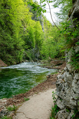 the vintgar gorge in Solvenia, a nature park with waterfalls and green plants
