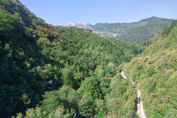 Mountain landscape with forest