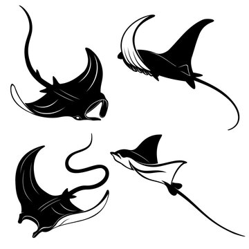 silhouette of a stingray