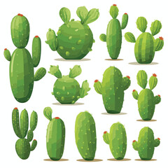Opuntia Cactus set vector flat minimalistic isolated illustration