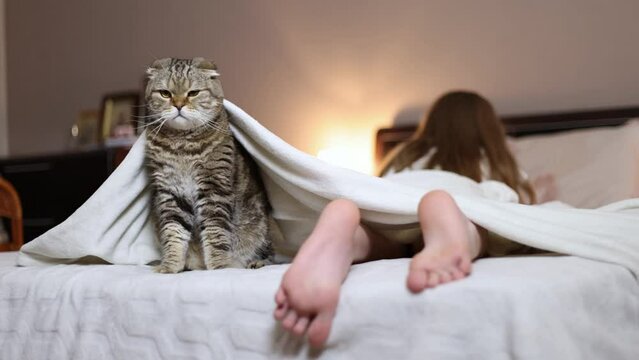 A cat on a bed under a blanket with a girl.