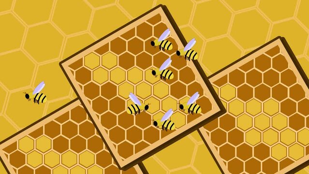 Honey bees flying around a honeycomb made of planks, 2d animation, 4k, animation background