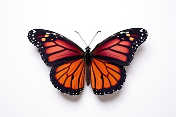 Fototapeta premium Beautiful red monarch butterfly isolated on white background. Butterfly. Generative Ai
