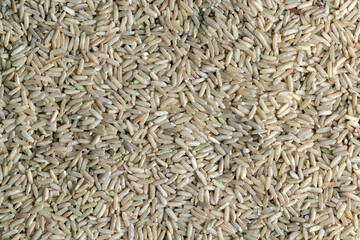 Unprocessed healthy dark rice, close up