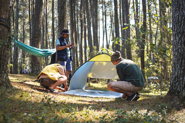 Young male diverse friends set up a tent in pine forest park. Campers set up their campsite for the night. Leisure and outdoor activity concept