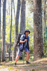 Young man wearing backpack walking on autumn pine forest trail, enjoy hiking alone. Nature and exploration concept