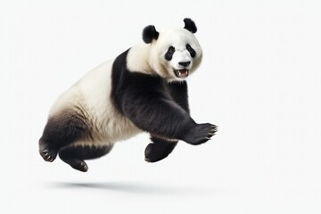 Obraz na płótnie Canvas Jumping Moment, Panda On White Background. Perfecting Your Jumping Moment, Capturing Pandas On White Backgrounds, Lighting For Jumping Photography. 