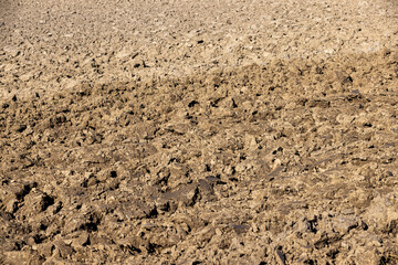 Preparation of soil for sowing plants