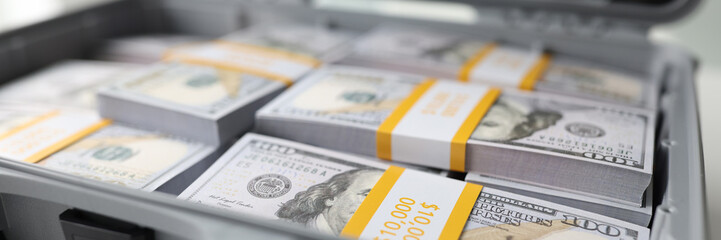 In an large suitcase are packs of dollars, a close-up