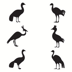 Dodo silhouettes and icons. Black flat color simple elegant Dodo animal vector and illustration. © Charlie 57