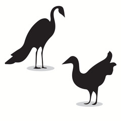 Fototapeta na wymiar Dodo silhouettes and icons. Black flat color simple elegant Dodo animal vector and illustration.