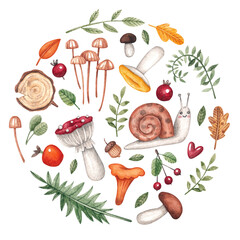 Composition with mushrooms, snail, plants and leaves in a circle. Watercolor illustration. Gifts of the forest. Berries and acorns. Art. Design. Cute. Handmade work. Nature. Natural. Tree.