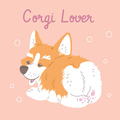 Vector poster with cartoon smiling Corgi dog back view, puppy purebred breed of furry dog, lover pets character on beige