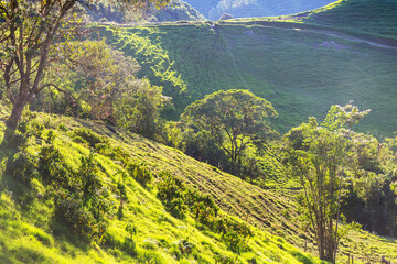 Green hills in Colombia