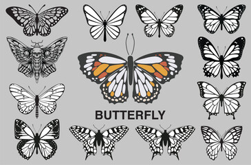 Obraz na płótnie Canvas collection of butterflies