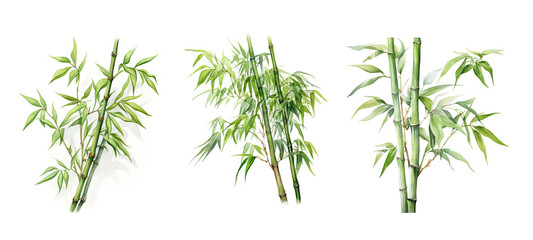 plant bamboo tree watercolor ai generated