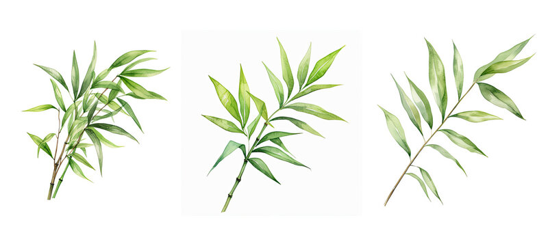 Leaves Bamboo Leaf Watercolor Ai Generated