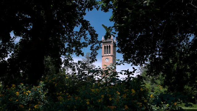 Iowa State University Campanile in Ames, Iowa with view through trees stable video.