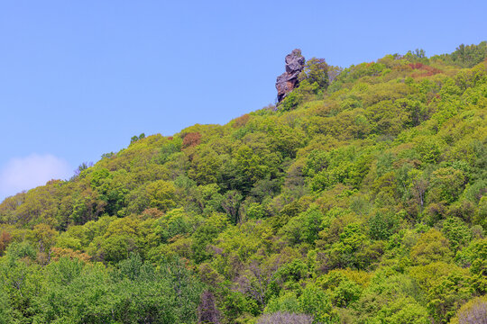 北海道洞爺湖町、烏帽子岩と春紅葉【5月】