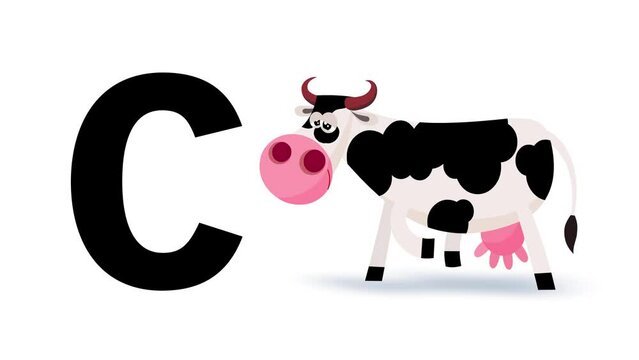C letter big black like cow cartoon animation. Animal loop. Educational serie with bold style character for children. Good for education movies, presentation, learning alphabet, etc...