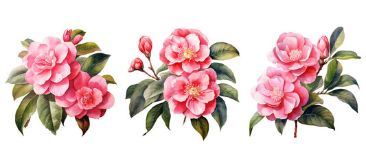 botanical camellia flowers watercolor ai generated