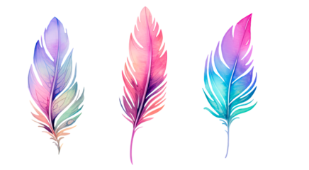 Gradient  multicolored watercolor feathers set clipart