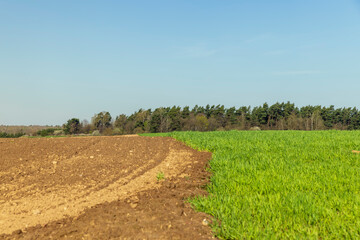 the plowed soil during preparation for sowing agricultural plants