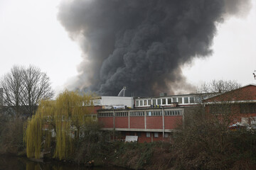 Fototapeta premium steam train in the forest