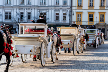 horses with carriage on the main square of Krakow