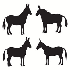 Zonkey silhouettes and icons. Black flat color simple elegant Zonkey animal vector and illustration.