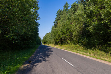 Fototapeta na wymiar Paved road through the forest