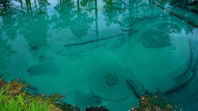 Cold artesian spring with clear turquoise water