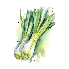 Leeks watercolor paint