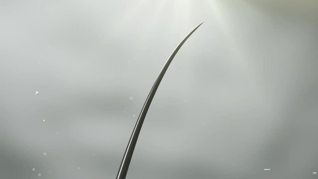 Nourish hair of shampoo or serum. Repair damaged hair. 3d rendering.	