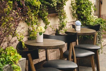 Tables and chairs on the cafe's summer terrace with climbing plants on the wall and hydrangea flowers on the tables.
