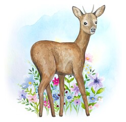 Deer with meadow flowers and leaves, watercolor