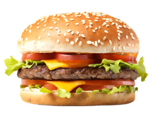 hamburger street fast food for a snack vector illustration