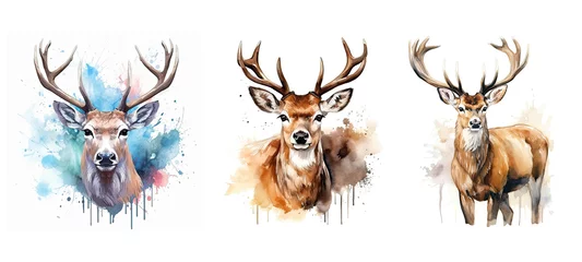 Fototapeten stag deer watercolor ai generated © sevector