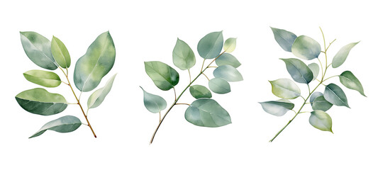 leaves eucalyptus leaf watercolor ai generated