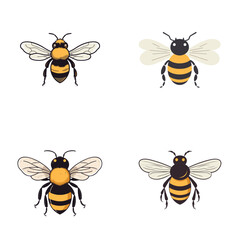 bee and honey