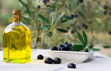 Still life of olives and oil on a table against a background of olive trees