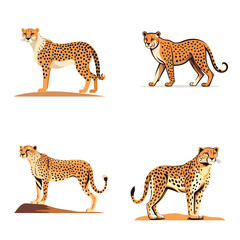 set of cheetah