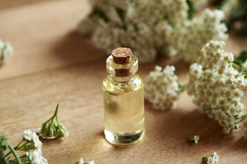 A bottle of aromatherapy essential oil with blooming yarrow plant