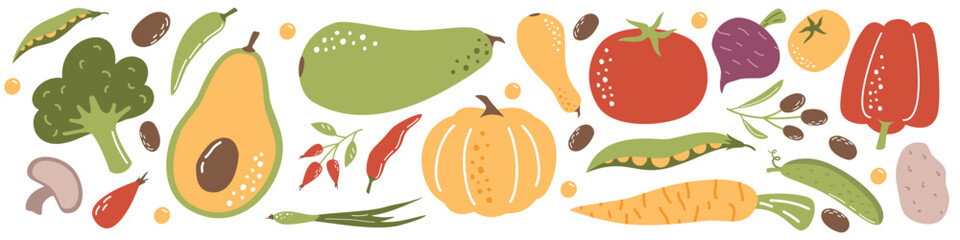 Vector Illustration Collection. Different vegetables on a white background. Zucchini pumpkin avocado peas beans onions potatoes carrots tomato pepper mushrooms broccoli olives rose hips beets . Vector