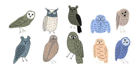 Cute hand drawn outlined owls. Forest birds. Perfect for t-shirt, apparel, cards, poster, nursery decoration. Vector Illustration