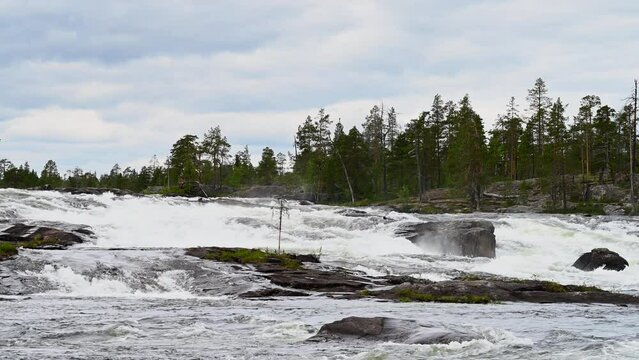 Turbulent Whitewater Rushing Through the Pite River