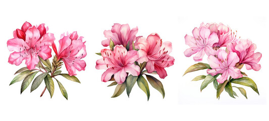 spring rhododendron flowers watercolor ai generated - obrazy, fototapety, plakaty