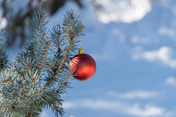 Christmas toy, Christmas ball on spruce branch. Fir branch under snow. Blurred background. Selective focus. Real winter in garden. There is space for your text