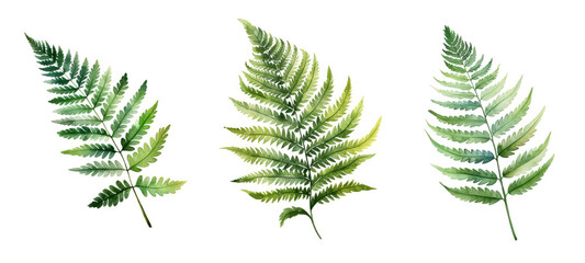 jungle royal fern leaf watercolor ai generated