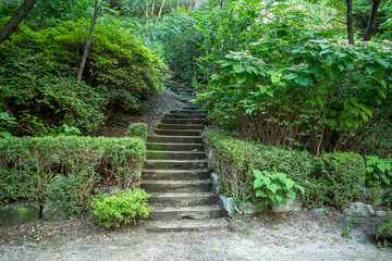 森の石段
